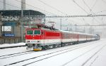 Filename=DSC_0007~0.JPG
Filesize=245KB
Dimensions=1024x643
Date added=Feb 07, 2013 DSC_0007~0.JPG