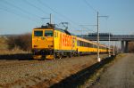 Filename=DSC_1909.JPG
Filesize=736KB
Dimensions=1024x681
Date added=Nov 17, 2012 DSC_1909.JPG