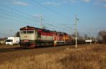 DSC_1950.JPG