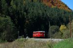 Filename=DSC_3792.JPG
Filesize=375KB
Dimensions=1024x681
Date added=Oct 10, 2010 DSC_3792.JPG