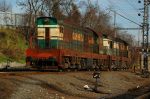 Filename=DSC_4472.JPG
Filesize=415KB
Dimensions=1024x681
Date added=Jan 19, 2011 DSC_4472.JPG