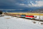 Filename=DSC_7598.JPG
Filesize=244KB
Dimensions=1024x681
Date added=Feb 25, 2012 DSC_7598.JPG