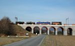 Filename=DSC_8061.JPG
Filesize=196KB
Dimensions=1024x628
Date added=Mar 27, 2012 DSC_8061.JPG